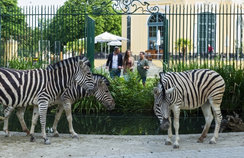 Zoo Vienna -Daniel Zupanc
