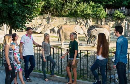 Zoo Vienna -Daniel Zupanc