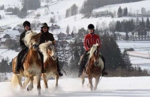 Winterreiten am Wanderreithof Angermann