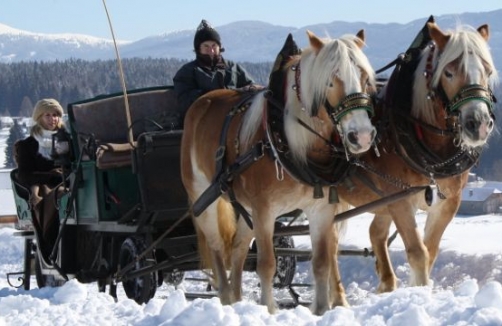 Winterreiten am Wanderreithof Angermann