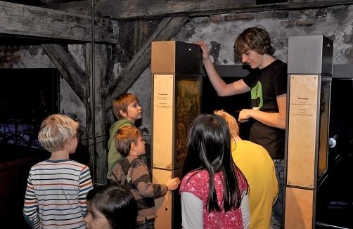 Kindergeburtstag in der inatura