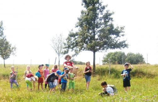 Ferienprogramm im Naturpark Obst-Hügel-Land