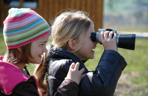 Ferienprogramm im Naturpark Obst-Hügel-Land