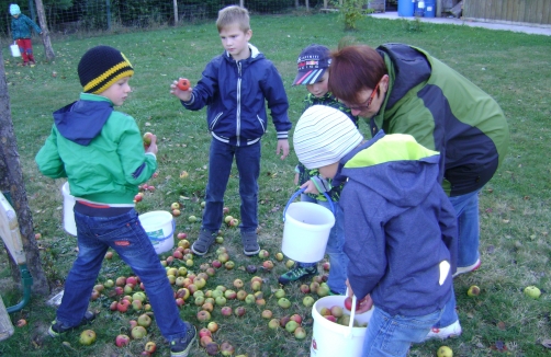 Expedition Streuobstwiese: Streuobstwiesen im Frühsommer und Herbst