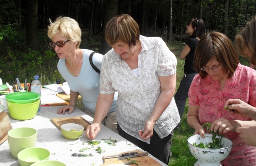 Brunch im Grünen - Ein Picknick mit Kräuterführung im Naturpark Obst-Hügel-Land