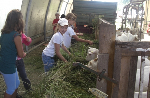 Schulausflug - Schule am Bauernhof im Obst-Hügel-Land