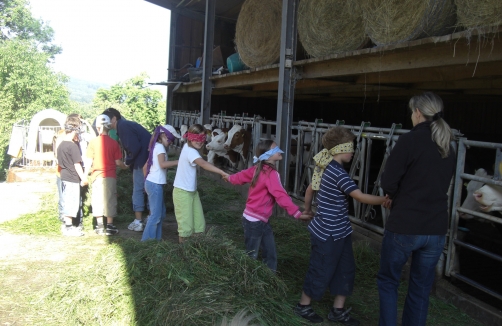 Schulausflug - Schule am Bauernhof im Obst-Hügel-Land