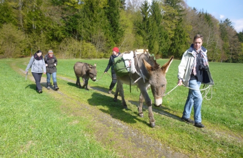 Eselwochenende Böhmerwald: "Schmuggler und Säumer"