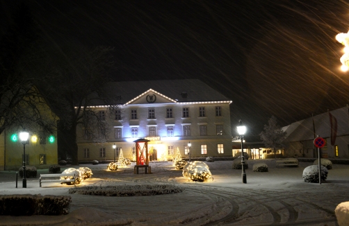 reichenau.at