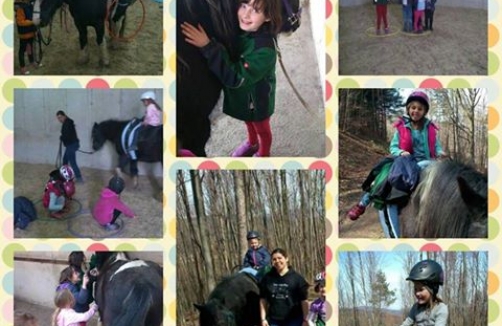 Horse and Kids Westernreiten