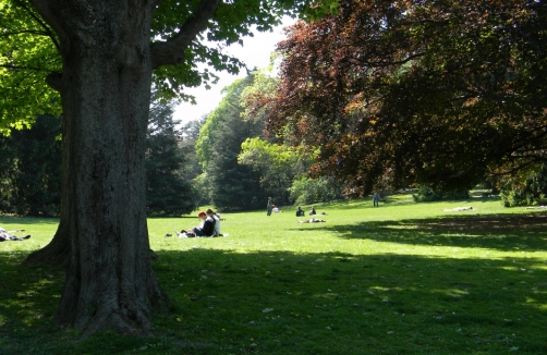 Eltern-Kind-Singgenuss im Park