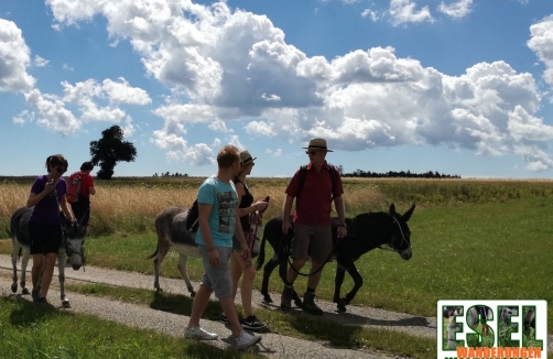 Eselwandern im Waldviertel