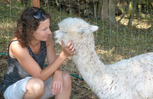 Lama- und Alpakawanderung in Maria Anzbach