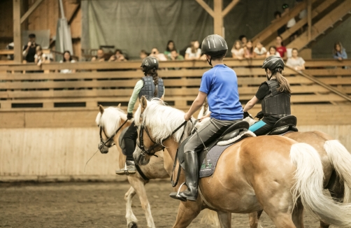 Reiterferien im Sporthotel Beck