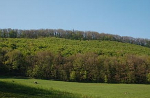 Stadtwanderweg 2 - Hermannskogel