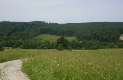 Stadtwanderweg 6 - Zugberg - Maurer Wald