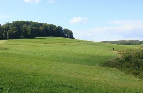 Stadtwanderweg 8 - Sophienalpe