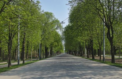 Stadtspaziergang mit Kinderwagen: Prater