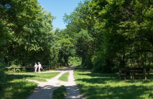 Stadtspaziergang mit Kinderwagen: Laaer Wald