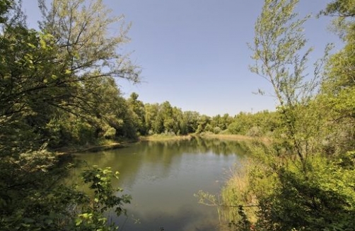 Stadtspaziergang mit Kinderwagen: Laaer Wald