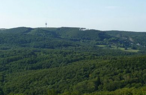 Stadtspaziergang mit Kinderwagen: Exelberg - Hameau