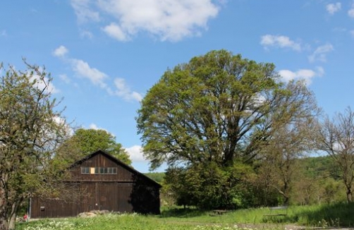 Stadtspaziergang mit Kinderwagen: Steinhofgründe - Dehnepark