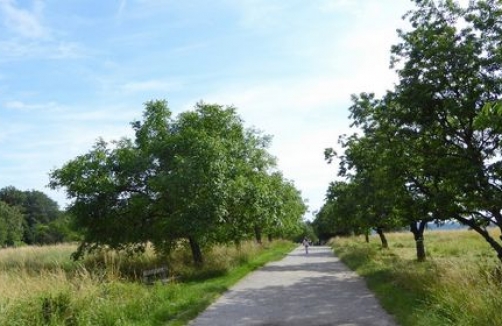 Stadtspaziergang mit Kinderwagen: Steinhofgründe - Dehnepark