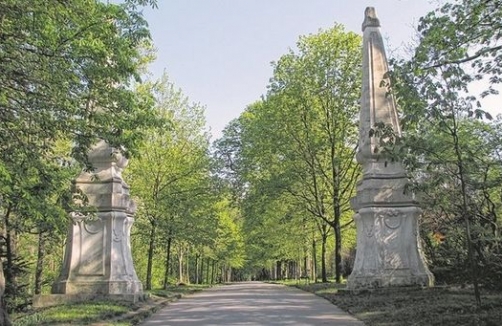 Stadtspaziergang mit Kinderwagen: Schwarzenbergpark