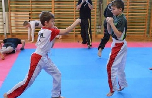 Kickboxen für Kinder in Wiener Neustadt