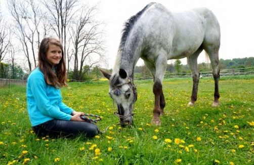 Reiten auf der Family Ranch