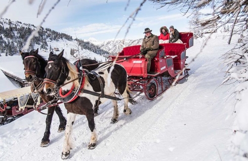 Winter im Alpinen Pferdezentrum Katschberg