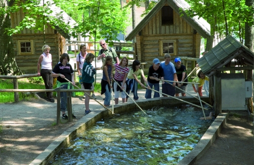 Walderlebnistage für Schulklassen