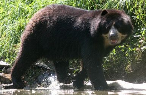 Fuhrungen Zum Welttierschutztag In Der Tierwelt Herber Auf Sunny At