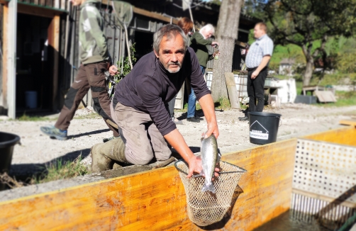 Erlebnisvormittag bei der Fischzucht in Spital am Pyhrn