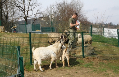 Für einen Tag Tierpfleger 