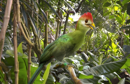 Zoo in den Blumengärten Hirschstetten