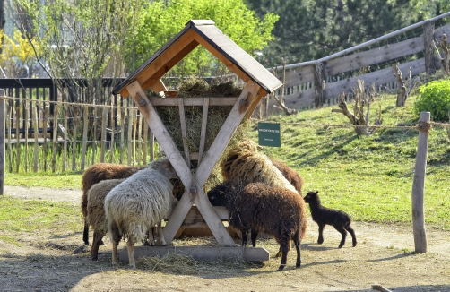 Zoo in den Blumengärten Hirschstetten