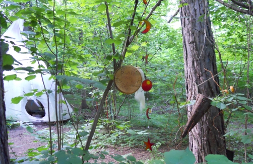 naturerlebnisse.at