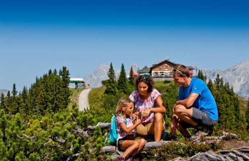 Planai-Hochwurzen - Ikarus