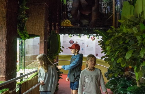 Chocolate Museum Vienna