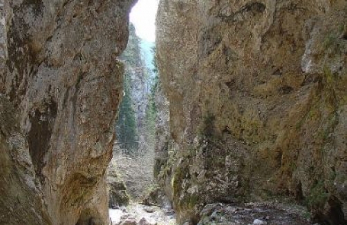 Weißenbachklamm