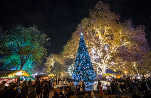 Wiener Weihnachtstraum