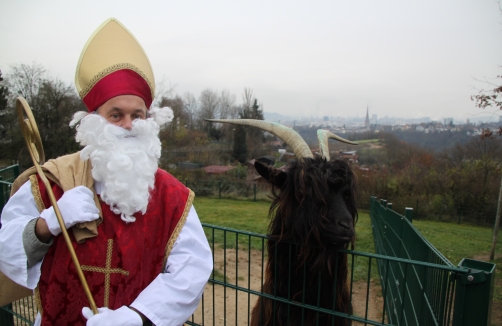 Der Nikolaus besucht den Zoo