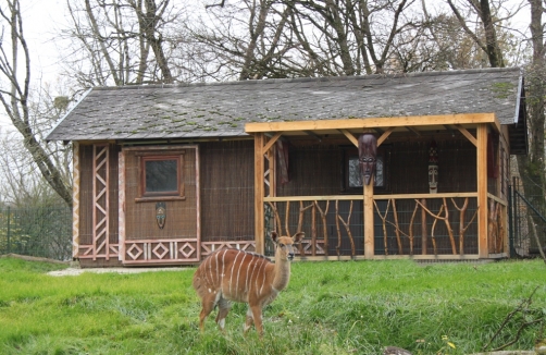 Zuhause im Zoo - Wie lebst denn du?