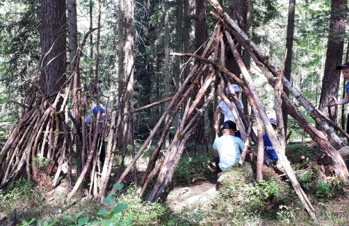 WaldWerk