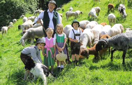 Schafsinn-Rundweg am Hauser Kaibling