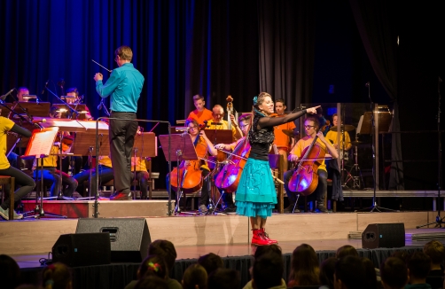 Orchesterkonzert "Floh im Ohr"