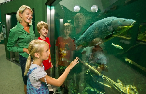 Wissensfestival "Abenteuer Wissen" für Familien