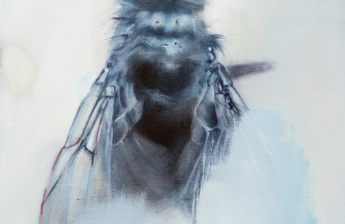 Eröffnung: The Fly. Warum wir Insekten brauchen