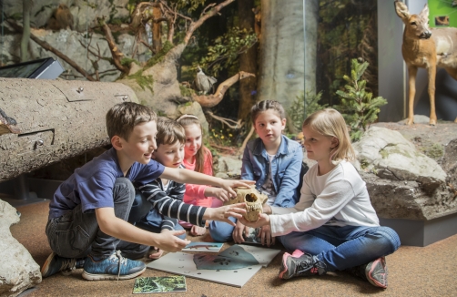 Kindergeburtstag im Haus der Natur in Salzburg